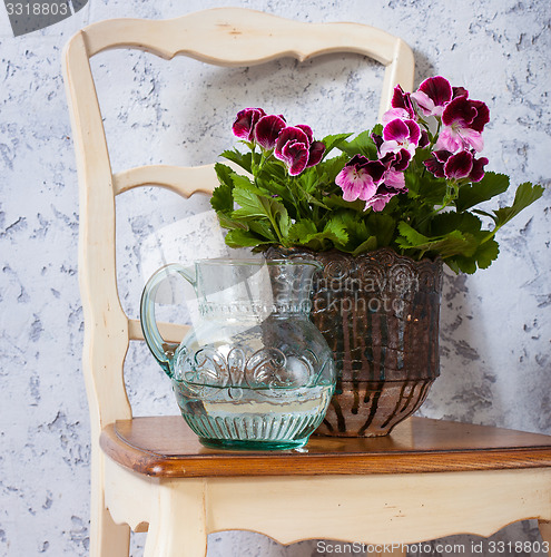 Image of geranium and a jug with water