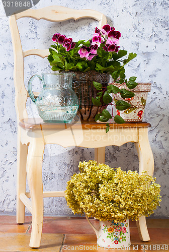 Image of pelargonium, fuchsia and hydrangea