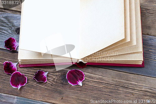Image of open book with geranium petals