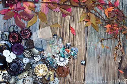 Image of vintage buttons and dried plants