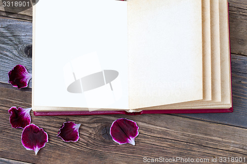 Image of open book with geranium petals