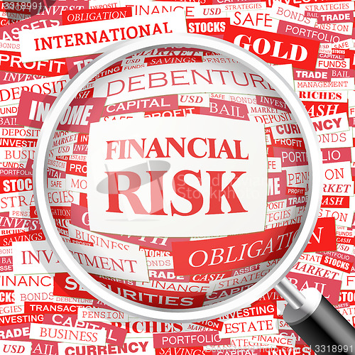 Image of FINANCIAL RISK