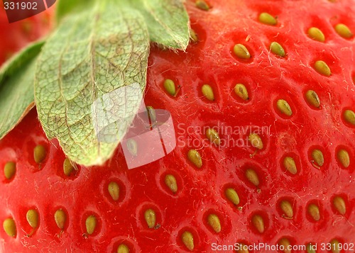 Image of Strawberry