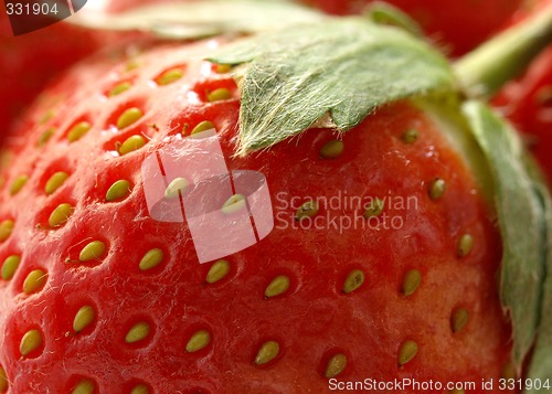 Image of Strawberries