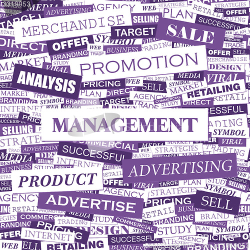 Image of MANAGEMENT