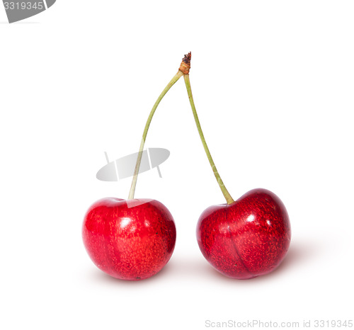 Image of Two red juicy sweet cherries