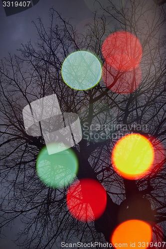 Image of abstract tree with lights and double exposure