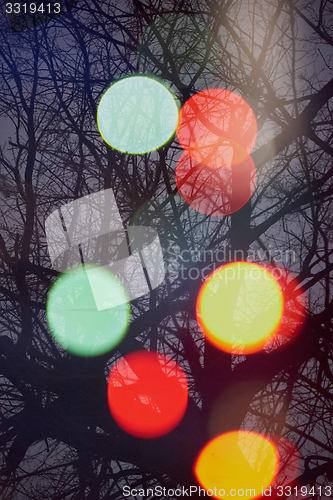 Image of abstract tree with lights and double exposure