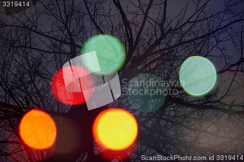 Image of abstract tree with lights and double exposure