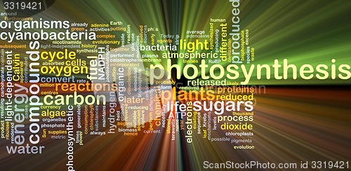 Image of Photosynthesis background concept glowing