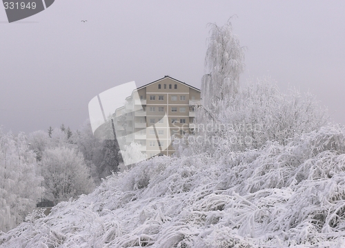 Image of Winter in Norway