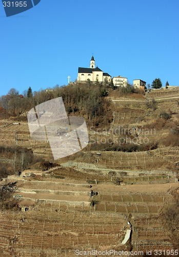 Image of Church and vineyard