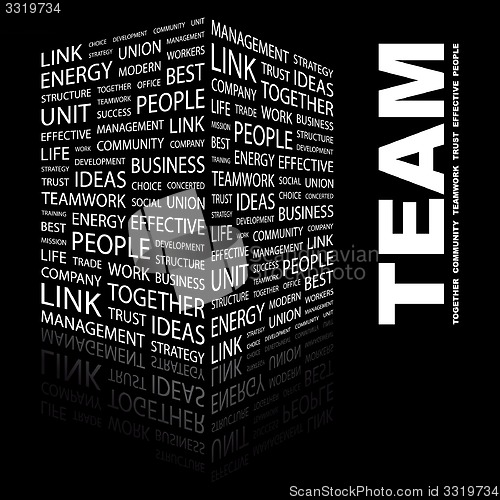 Image of TEAM