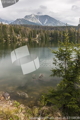 Image of Mountain Lake in Slovakia Tatra 