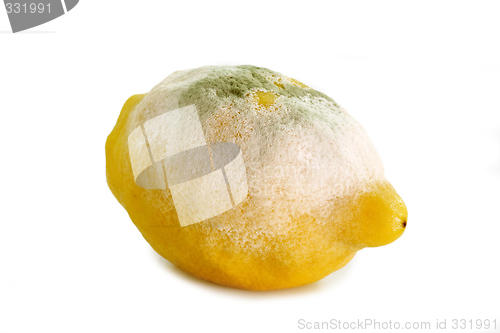 Image of Lemon gone bad