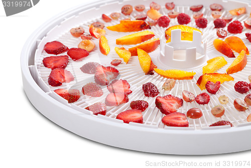 Image of Slices of berries and fruits on dehydrator tray