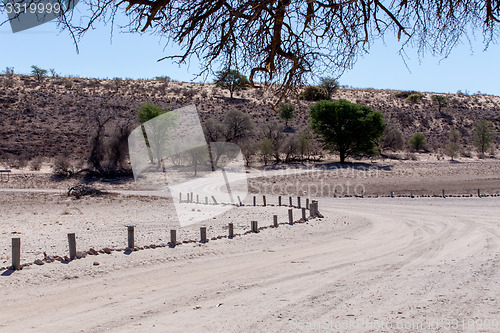 Image of road in Kgalagadi transfontier park