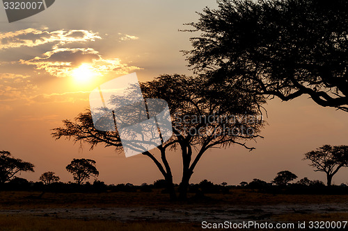 Image of African sunset
