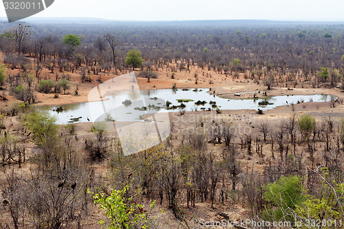 Image of view of african landscape