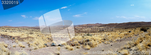 Image of dry Namib desert in sunset, landscape