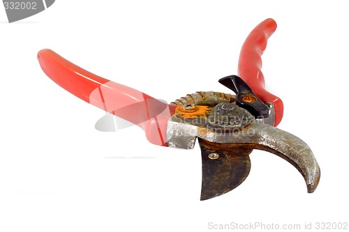 Image of Used pruning shears