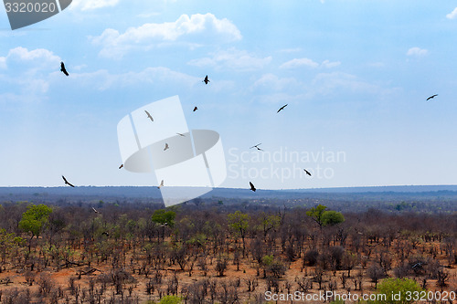 Image of view of african landscape