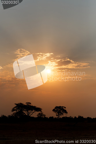 Image of African sunset