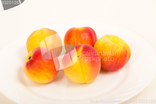 Image of apricots