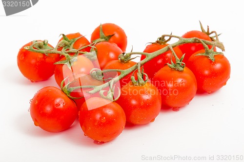 Image of tomatoes 
