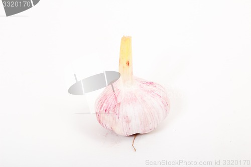 Image of Fresh Garlic  