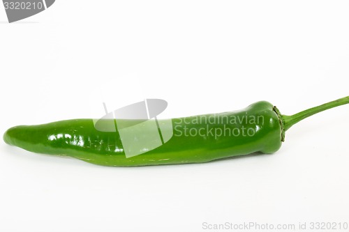 Image of Bitter pepper