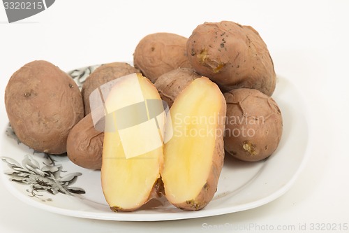 Image of boiled potatoes  