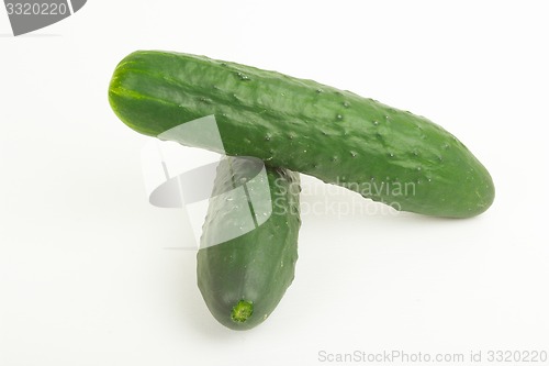 Image of greenhouse cucumbers 