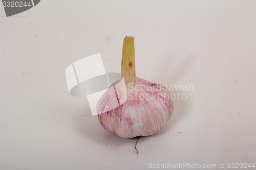 Image of Fresh Garlic  