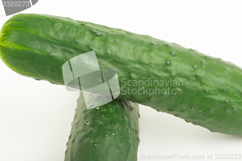 Image of greenhouse cucumbers 