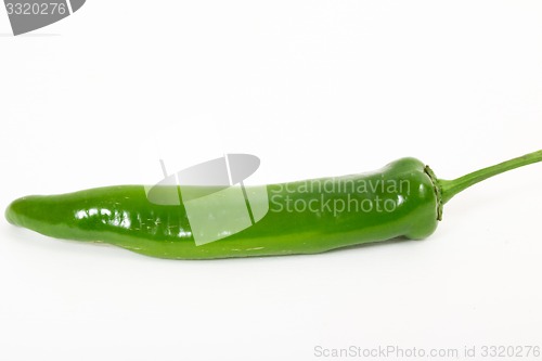 Image of Bitter pepper