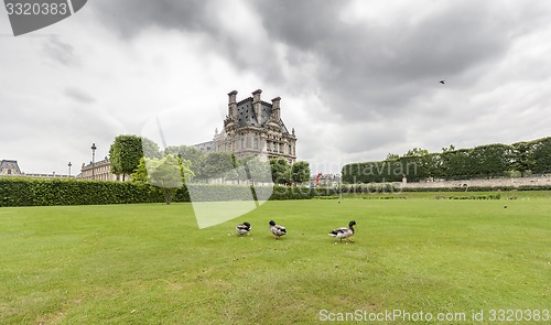 Image of Jardin du Luxembourg with Palace. Few ducks are in front 