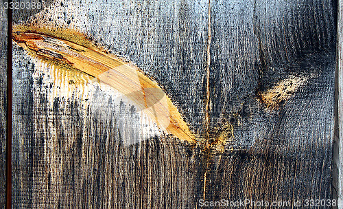 Image of Very old weather beaten board with a colourful sprig.