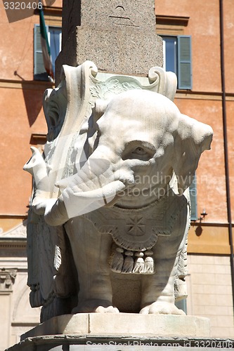 Image of Monument of Elephant by Bernini on Piazza della Minerva in Rome,