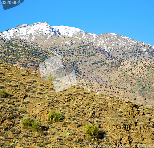 Image of in ground africa morocco the bush  dry atlas mountain