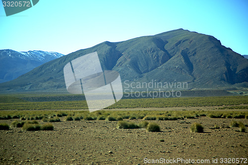 Image of valley in   africa morocco the snow