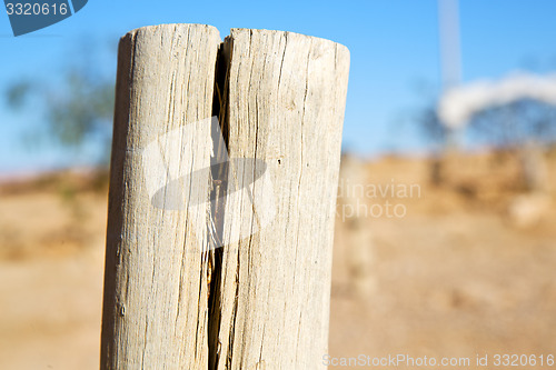 Image of dead wood in the sky morocco africa  