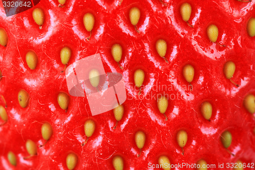 Image of strawberry red background