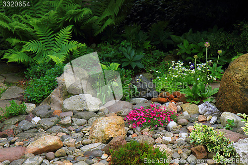 Image of spring flowers and plant garden 