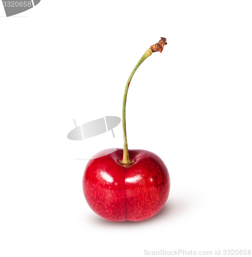 Image of Single red juicy sweet cherries