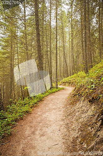 Image of Rocky Mountains Hiking Trail