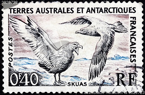Image of Skuas Stamp