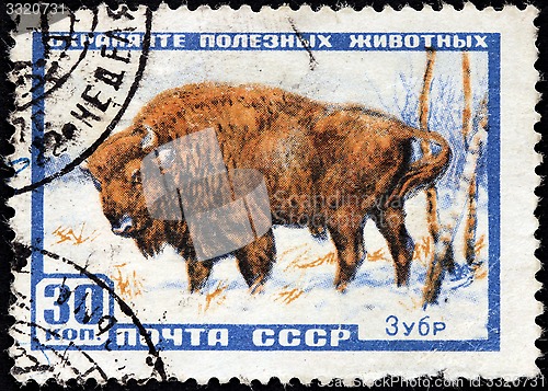 Image of European Bison Stamp
