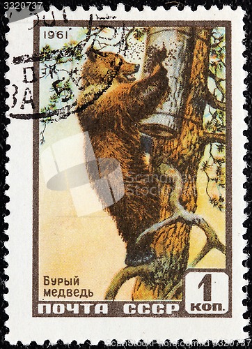 Image of Brown Bear Stamp