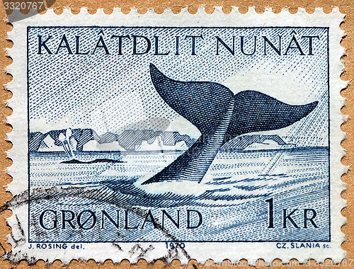 Image of Whale Stamp